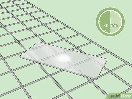 Image intitulée Identify Bacteria Step 13