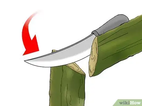 Image intitulée Graft a Tree Step 18