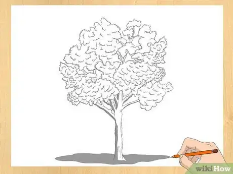 Image intitulée Draw a Tree Step 14