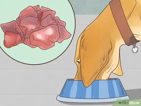 Image intitulée Make a Raw Food Diet for Dogs Step 9