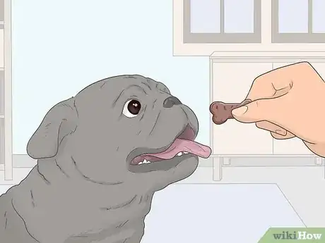 Image intitulée House Train Your Dog Step 17