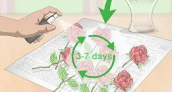 conserver des fleurs avec de la laque