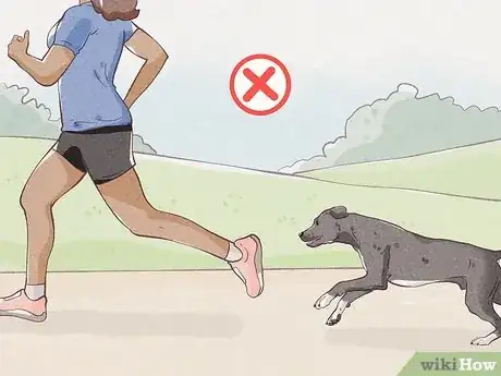 Image intitulée Protect Yourself from Dogs While Walking Step 6