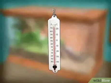 Image intitulée Feed Crickets to Reptiles Step 7