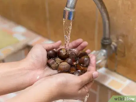 Image intitulée Cook Chestnuts Step 12