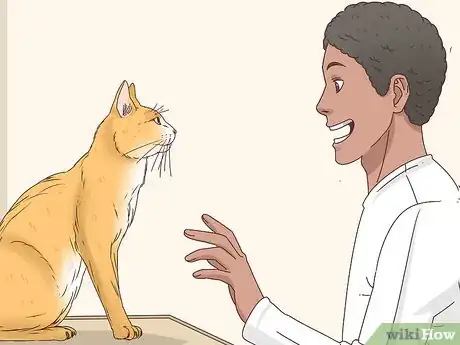 Image intitulée Know if a Cat Is a Stray Step 2
