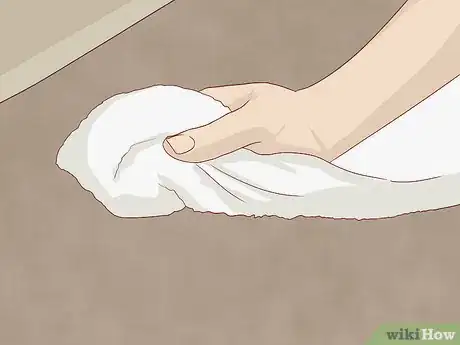 Image intitulée Get Bad Smells out of Carpet Step 8