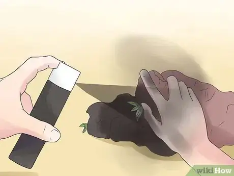Image intitulée Care for Green Anole Lizards Step 1