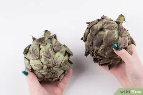 Image intitulée Steam Artichokes Step 1