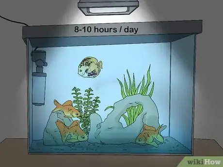 Image intitulée Lower Ammonia Levels in Your Fish Tank Step 10