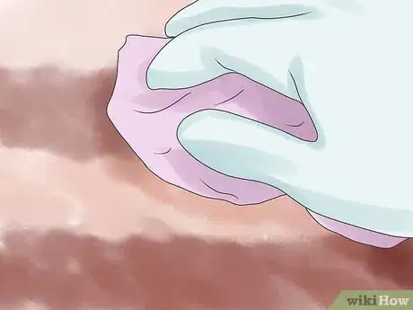 Image intitulée Get Rid of the Smell of Vomit in a Carpet Step 14