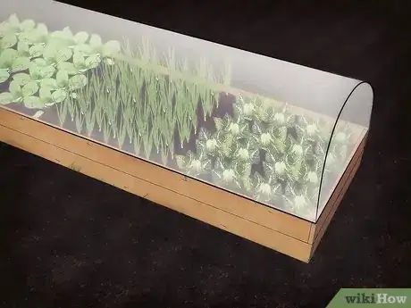 Image intitulée Keep Animals Out of Your Vegetable Garden Step 3