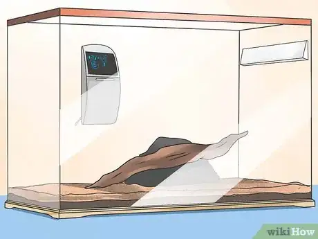 Image intitulée Care for Green Anole Lizards Step 2