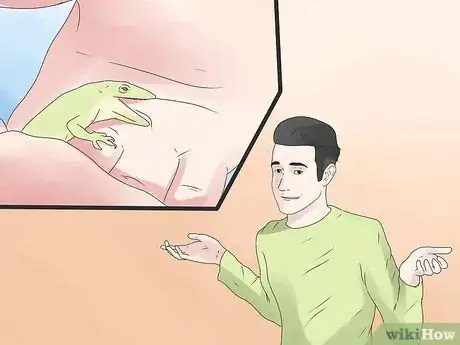 Image intitulée Care for Green Anole Lizards Step 9