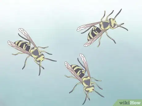 Image intitulée Get Rid of a Wasp's Nest Step 2