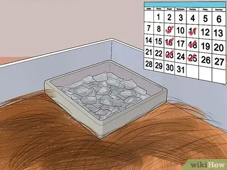 Image intitulée Care for Baby Guinea Pigs Step 11