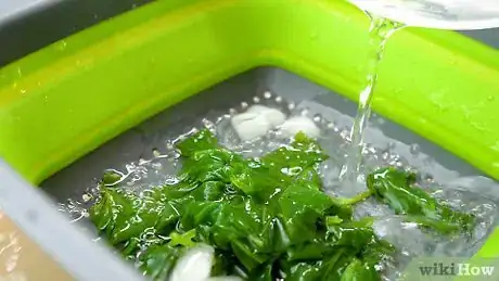 Image intitulée Freeze Spinach Step 12
