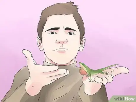Image intitulée Care for Green Anole Lizards Step 8