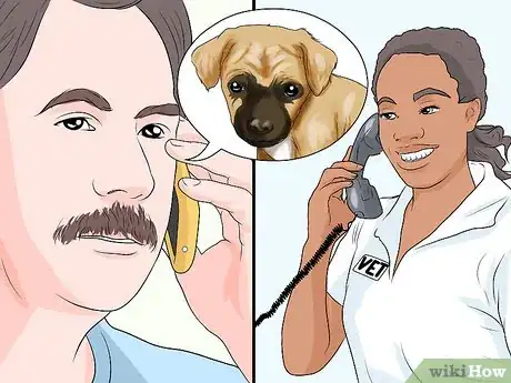 Image intitulée Handle Aspiration Pneumonia in Young Puppies Step 1