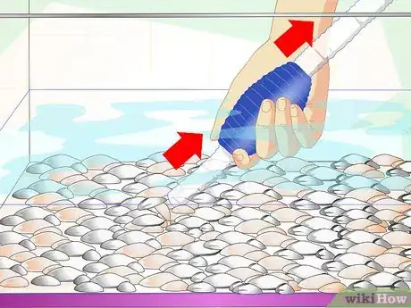 Image intitulée Fix Cloudy Aquarium Water Step 6