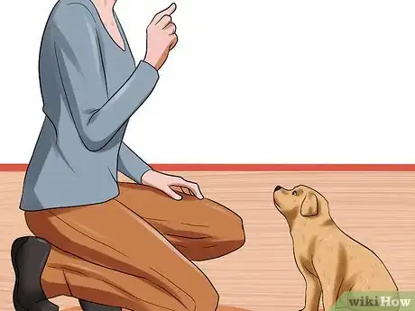 Image intitulée Obedience Train Your Puppy Before It's 10 Weeks Old Step 1