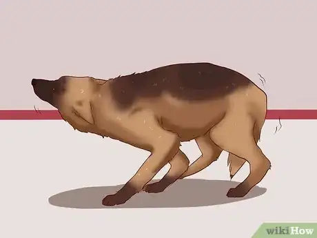 Image intitulée Calm a Dog Step 1