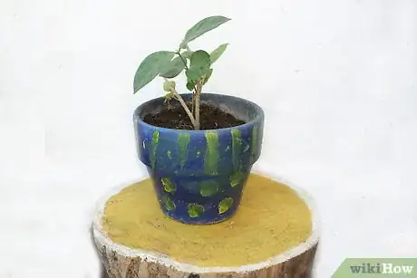 Image intitulée Use Wicks to Water Plants Step 1
