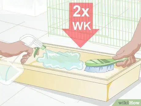 Image intitulée Treat Respiratory Problems in Guinea Pigs Step 10