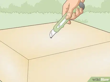 Image intitulée Trap a Backyard Bird Step 15
