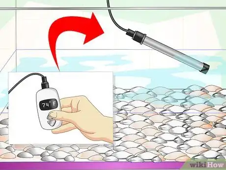 Image intitulée Fix Cloudy Aquarium Water Step 7