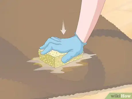 Image intitulée Get Dog Urine Smell out of Carpets Step 3
