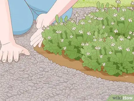Image intitulée Pebble a Garden Step 12