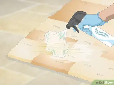 Image intitulée Get Dog Urine Smell out of Carpets Step 15