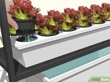 Image intitulée Design a Successful Indoor Garden Step 12