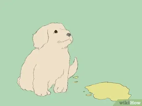 Image intitulée Care for an 8 Week Old Puppy Step 12