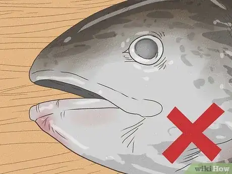 Image intitulée Know if Salmon Is Bad Step 4