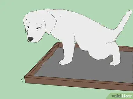 Image intitulée Care for an 8 Week Old Puppy Step 13