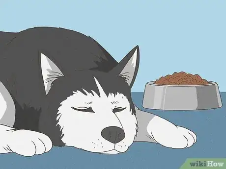 Image intitulée Recognize a Dying Dog Step 2