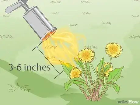Image intitulée Kill Dandelions Naturally Step 5