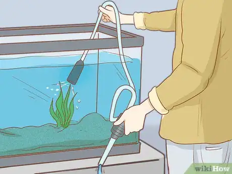 Image intitulée Add Fish to a New Tank Step 14