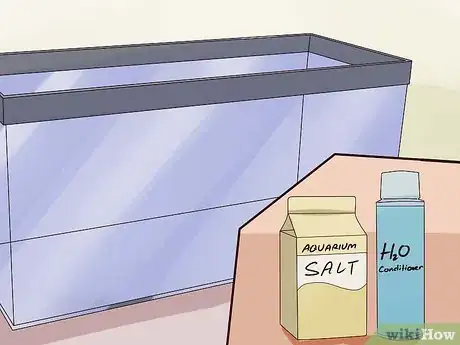 Image intitulée Tell if a Betta Fish Is Sick Step 23