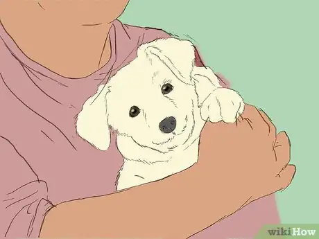 Image intitulée Care for an 8 Week Old Puppy Step 24