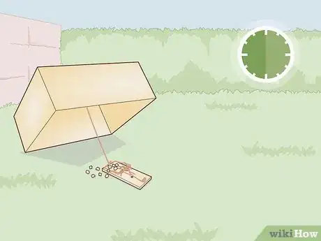 Image intitulée Trap a Backyard Bird Step 21