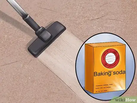 Image intitulée Get Rid of Dog Urine Smell Step 4