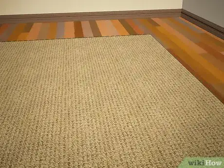 Image intitulée Clean a Jute Rug Step 9
