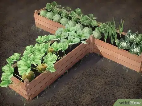 Image intitulée Keep Animals Out of Your Vegetable Garden Step 2