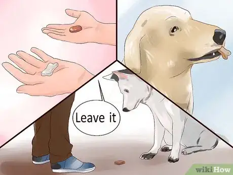 Image intitulée Keep Your Dog from Chasing Cats Step 9