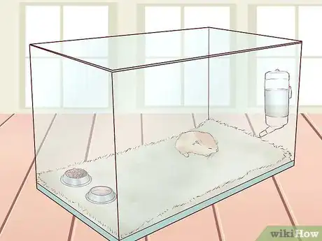 Image intitulée Treat Your Hamster's Broken Leg Step 5