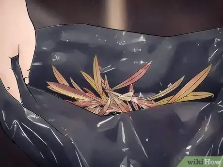 Image intitulée Prune Oleander Step 13