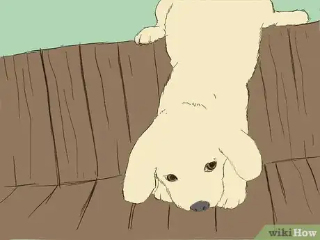 Image intitulée Care for an 8 Week Old Puppy Step 16